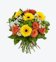 Load image into Gallery viewer, accusantium doloremque