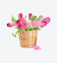 Load image into Gallery viewer, nemo enim ipsam