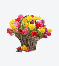 Load image into Gallery viewer, Dummy Product Name