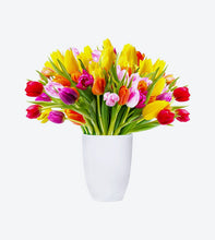 Load image into Gallery viewer, Product Dummy Name